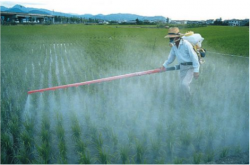 WHO Confirm Glyphosate Cancer Risk