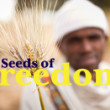 Positive News: Review of Seeds of Freedom